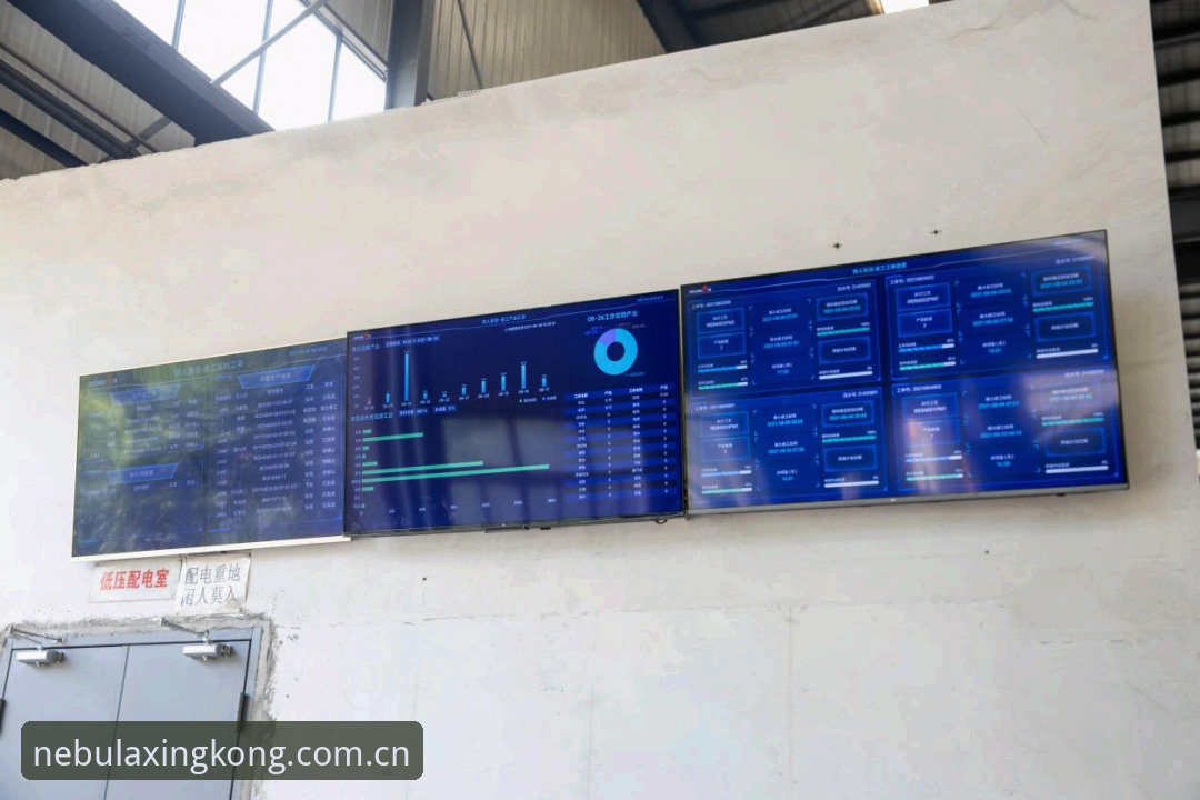 辽宁铁人阵容深度评测：间歇期调整与星空大数据分析的战术碰撞